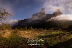 espagne-2020-pano-1-copie