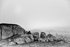 aubrac-2021-2382