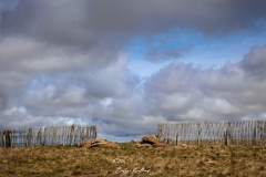 aubrac-2021-2394