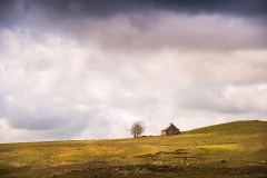 aubrac-2021-2398