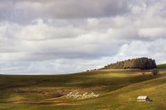 aubrac-2021-2404