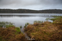 aubrac-2021-8663