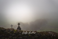 aubrac-2021-9221