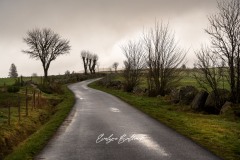 aubrac-2021-9250