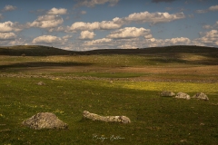aubrac-2021-9579