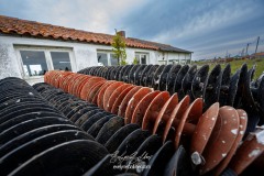 5-oleron-2025-2370