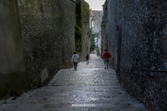 CHATEAU-LOIRE-2025-Amboise-1312