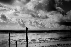 2-oleron-2025-carré-2598