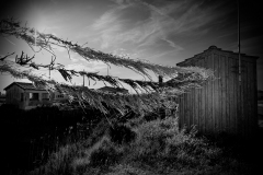 oleron-2025-carre-2149