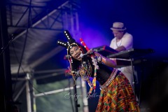 fatoumata-diawara-eu-2024-3588