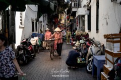 viet-nam-2025-6645