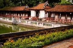 vietnam-2025-4229