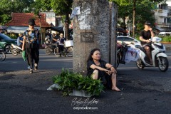 vietnam-2025-6397