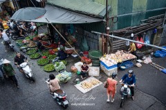 vietnam-2025-6460
