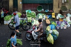 vietnam-2025-6471