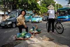 vietnam-2025-6509