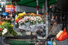 vietnam-2025-6540