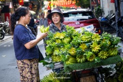 vietnam-2025-6541