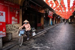 vietnam-2025-6547