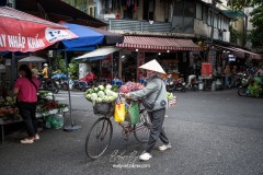 vietnam-2025-6573
