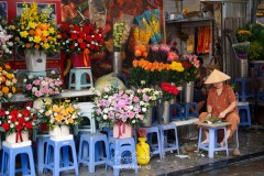 vietnam-2025-6577