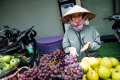 vietnam-2025-6578