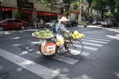 vietnam-2025-6596