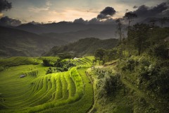 VIET-NAM-2025-4657-copie