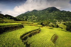 viet-nam-2026-4924-copie