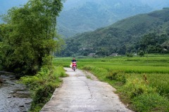 vietnam-2025-4464