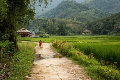 vietnam-2025-4467