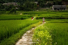 vietnam-2025-4472-copie