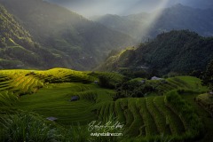 vietnam-2025-4518