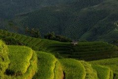 vietnam-2025-4532-copie