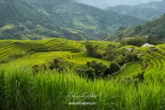 vietnam-2025-4539