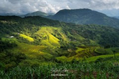 vietnam-2025-5138