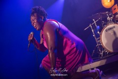 jane-jeresa-bain-blues-2026-5234