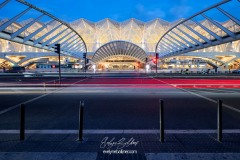 lisbonne-2026-5721