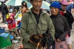 vietnam-2025-5522