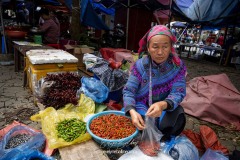 vietnam-2025-5532