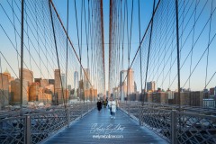 NYC-2025-1113