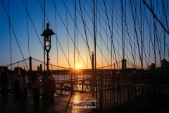 NYC-2025-1132