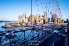 NYC-2025-1141