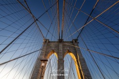 NYC-2025-1150