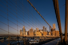 NYC-2025-1154