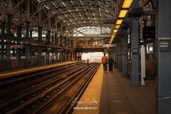 NYC-2025-7841