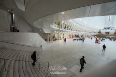 NYC-2025-8247