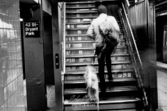 NYC-2025-9205