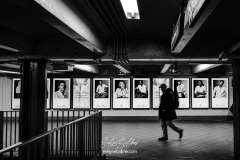 NYC-2025-9614
