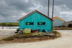 14-oleron-2025-carré-2620
